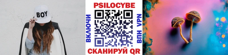 Псилоцибиновые грибы Psilocybe kraken ССЫЛКА Нариманов закладка
